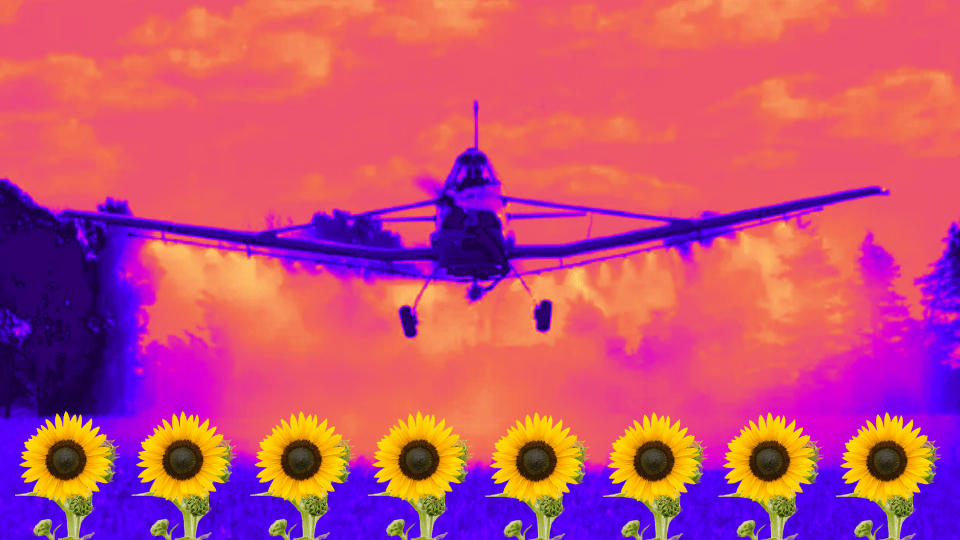 Glyphosate impact on human health denounced at the Inter-American Commission on Human&nbsp;Rights