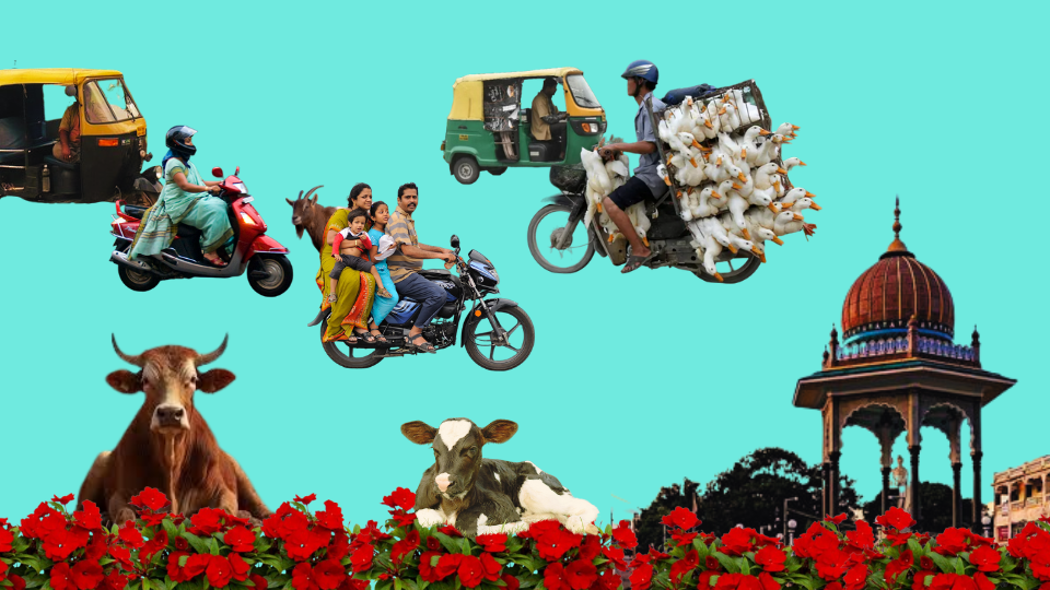 Beauty in chaos: free interpretations of the traffic jam in&nbsp;Mysore