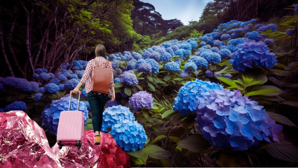 Migrant communities and uncertainty in times of&nbsp;crisis